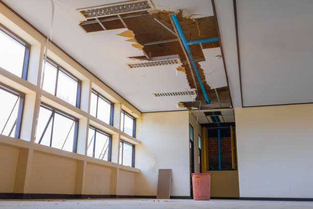 Best Fire Damage Restoration  in Avondale, PA