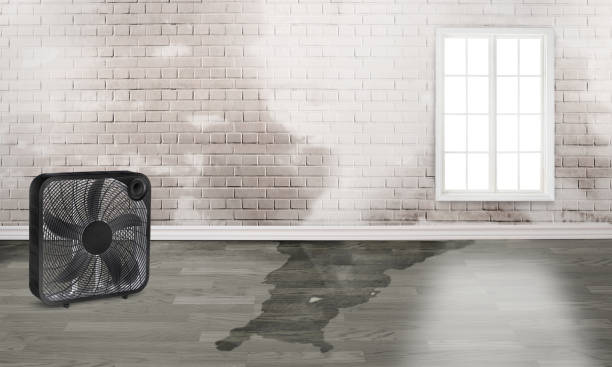 Best 24/7 water damage repair  in Avondale, PA