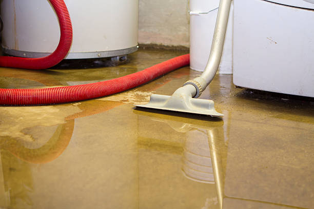 Best Water damage restoration near me  in Avondale, PA