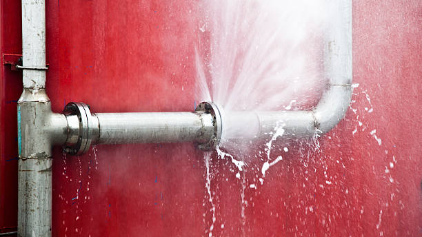 Best Local water damage restoration  in Avondale, PA